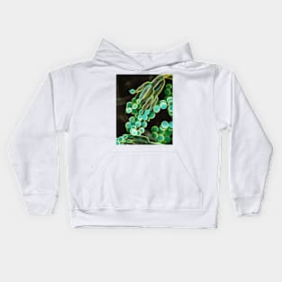 Penicillin fungus, SEM (C026/3997) Kids Hoodie